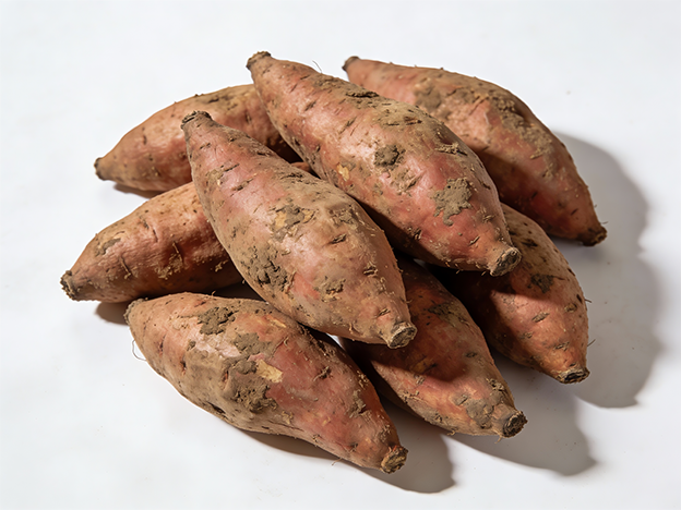 Sweet Potato(图1)