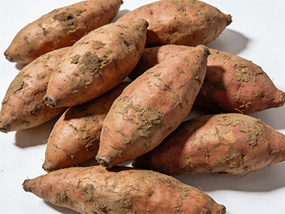 Sweet Potato(图2)